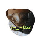 ユニークな動物スタンプ（個別スタンプ：16）