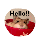 ティノくんの日常会話（個別スタンプ：6）