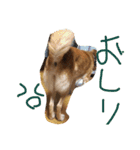 狐犬 くく（個別スタンプ：7）