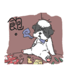 Mimi Hi（個別スタンプ：19）