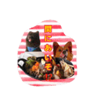 キェポン＆愉快な仲間達5（個別スタンプ：18）
