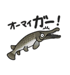 ダジャレ魚類図鑑3（個別スタンプ：7）
