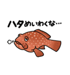ダジャレ魚類図鑑3（個別スタンプ：38）