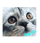 気分屋ねこ、べべ。（個別スタンプ：1）