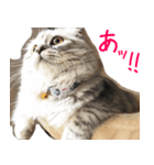 気分屋ねこ、べべ。（個別スタンプ：2）