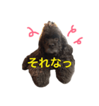 ビリー隊長（個別スタンプ：5）
