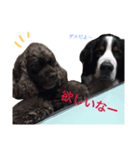 ビリー隊長（個別スタンプ：6）