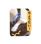 ハン君の気持ちII（個別スタンプ：2）