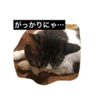 ハン君の気持ちII（個別スタンプ：4）