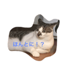 ハン君の気持ちII（個別スタンプ：6）