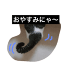ハン君の気持ちII（個別スタンプ：8）