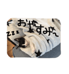 ツンデレ猫の雫ちゃま（個別スタンプ：7）