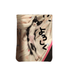 ツンデレ猫の雫ちゃま（個別スタンプ：11）