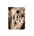 ツンデレ猫の雫ちゃま（個別スタンプ：16）
