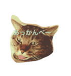 吾輩は猫である。（個別スタンプ：2）
