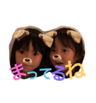 Twinsgirls＆Brotherwho（個別スタンプ：6）