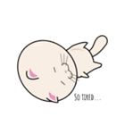 my little kitten (tutut cat) full（個別スタンプ：13）