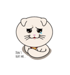 my little kitten (tutut cat) full（個別スタンプ：17）
