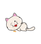 my little kitten (tutut cat) full（個別スタンプ：25）