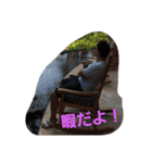 motonari...（個別スタンプ：13）