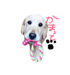 ラブ 小梅（個別スタンプ：2）