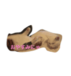 うちのペットのトムとジェリー（個別スタンプ：2）