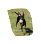 happygaga（個別スタンプ：6）