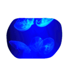 The. sea live（個別スタンプ：5）