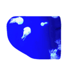 The. sea live（個別スタンプ：6）