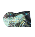 The. sea live（個別スタンプ：7）