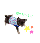 HARUMOstamp（個別スタンプ：8）