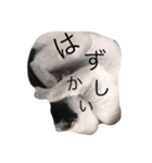 我が家のぶちゃねこ（個別スタンプ：10）