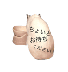我が家のぶちゃねこ（個別スタンプ：14）