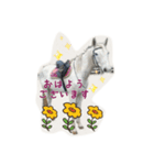 クラブ馬（個別スタンプ：6）