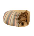 おもち100%（個別スタンプ：7）