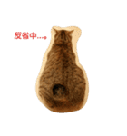 おもち100%（個別スタンプ：20）