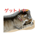 おもち100%（個別スタンプ：35）
