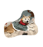 柴犬 みそ（個別スタンプ：4）