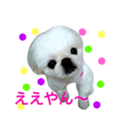 ペキニーズ くむちゃん 関西弁Ver.2（個別スタンプ：8）