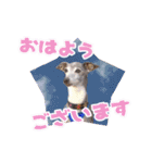 イタグレベルナ 女子力アップ中（個別スタンプ：2）