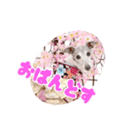 イタグレベルナ 女子力アップ中（個別スタンプ：6）