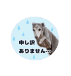 イタグレベルナ 女子力アップ中（個別スタンプ：13）