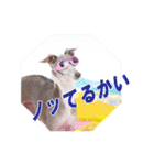 イタグレベルナ 女子力アップ中（個別スタンプ：25）