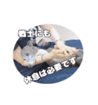 イタグレベルナ 女子力アップ中（個別スタンプ：30）