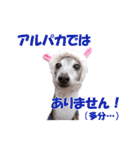 イタグレベルナ 女子力アップ中（個別スタンプ：32）