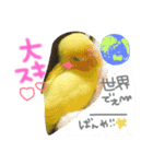 我が家のインコと会話（個別スタンプ：7）