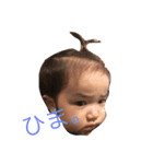 しーくん（個別スタンプ：1）