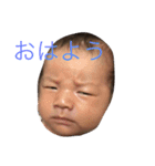 しーくん（個別スタンプ：6）