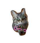 ねこねこ三昧（個別スタンプ：2）
