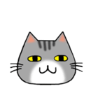 アメショと思ってたらサバトラだった猫（個別スタンプ：1）